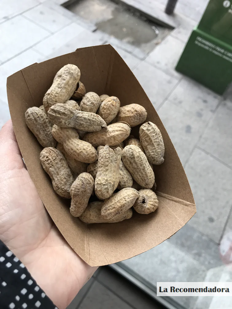 ¿Cómo son las HAMBURGUESAS de FIVE GUYS? - FiveGuys11