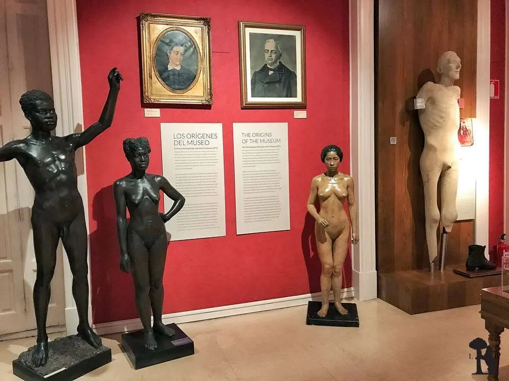 Museo Nacional de Antropología Madrid 02