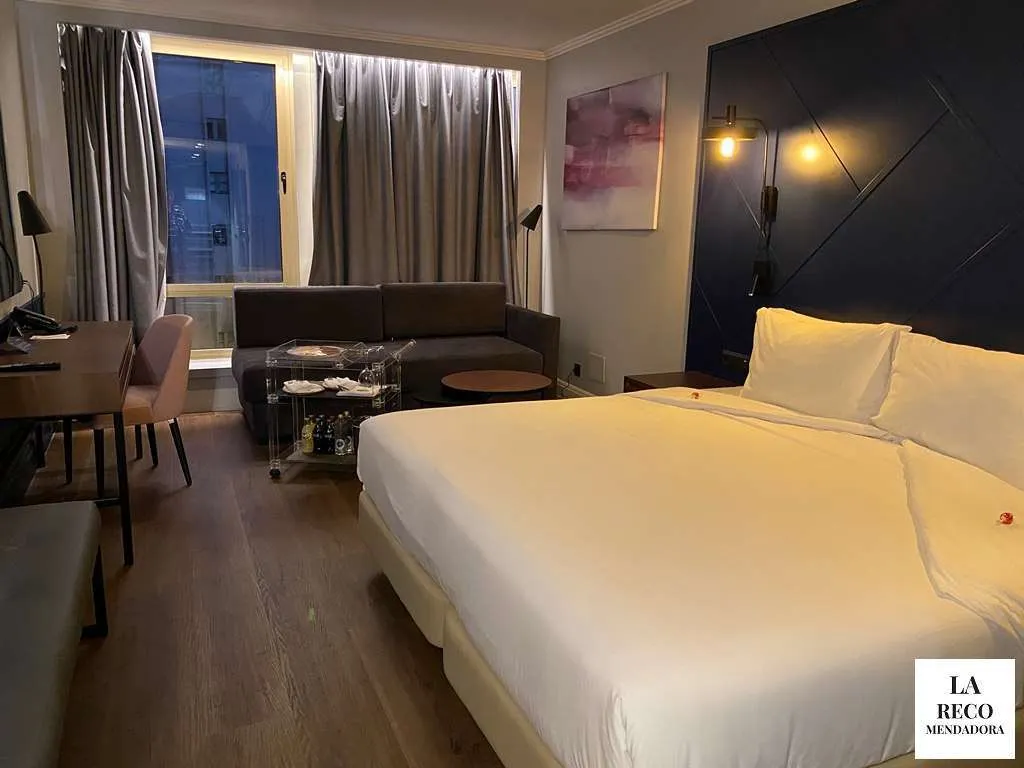 Hotel Princesa Plaza Madrid 19