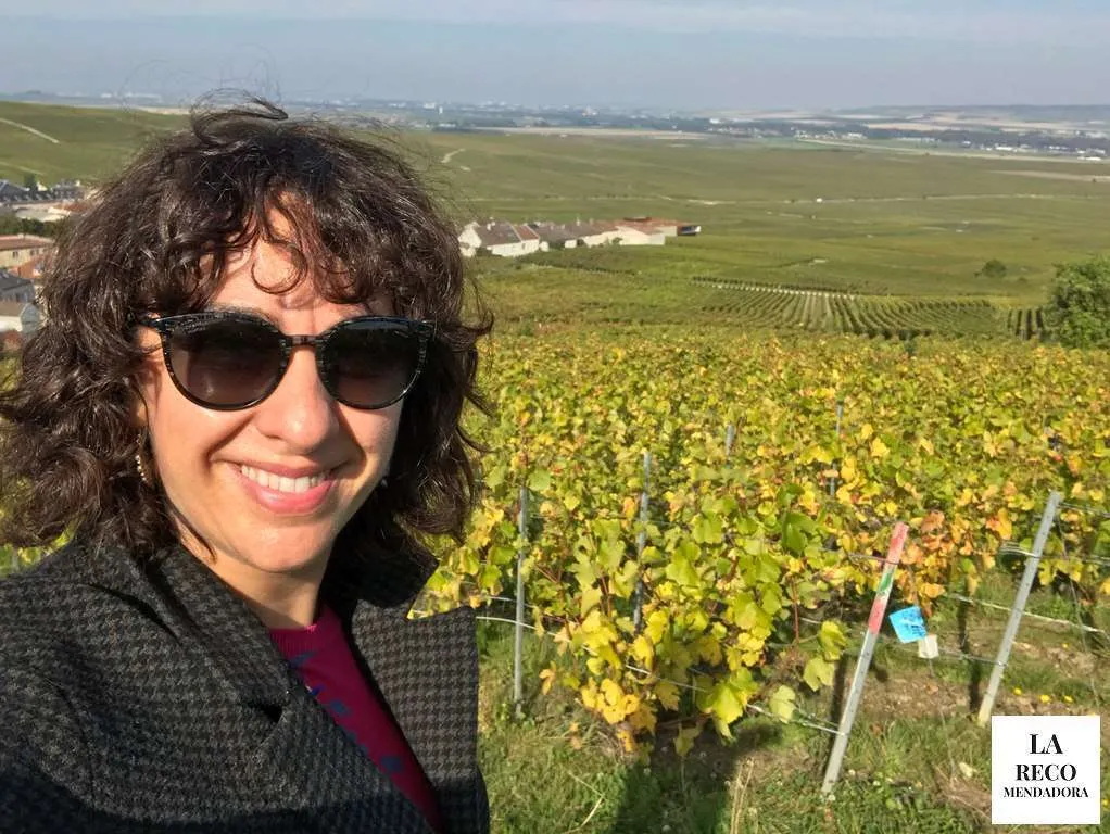 RUTA de 4 DIAS por CHAMPAGNE en FRANCIA - Ruta de 4 dias por la region de Champagne en Francia 295 Faro de Verzeney y museo del vino