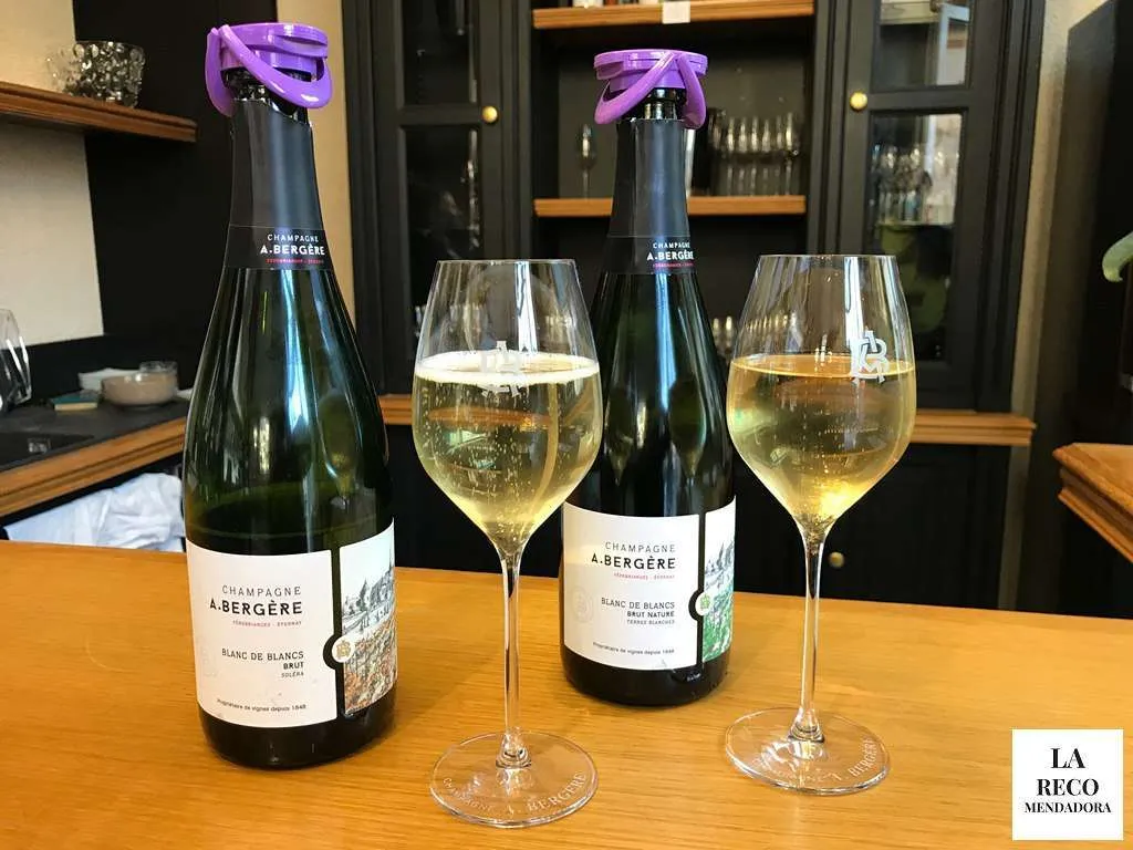 RUTA de 4 DIAS por CHAMPAGNE en FRANCIA - Ruta de 4 dias por la region de Champagne en Francia 383 André Bergère. Eperney
