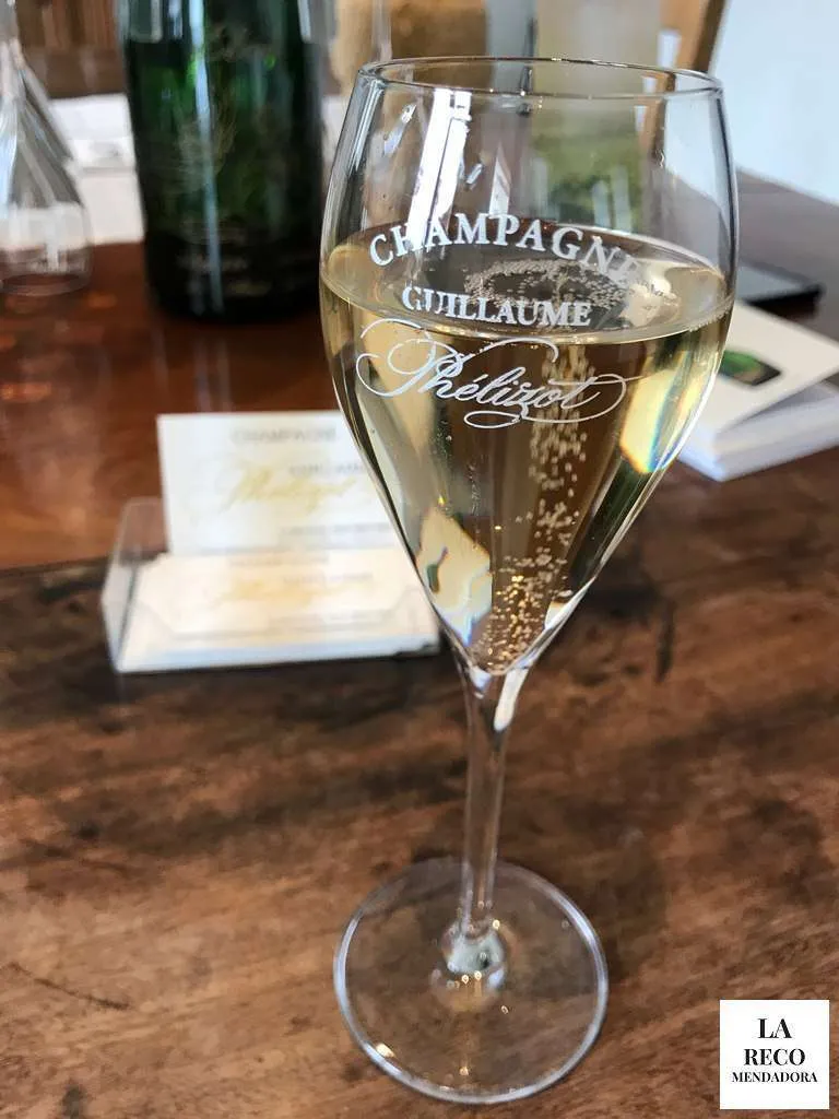 RUTA de 4 DIAS por CHAMPAGNE en FRANCIA - Ruta de 4 dias por la region de Champagne en Francia 447 Guillaume Phélizot