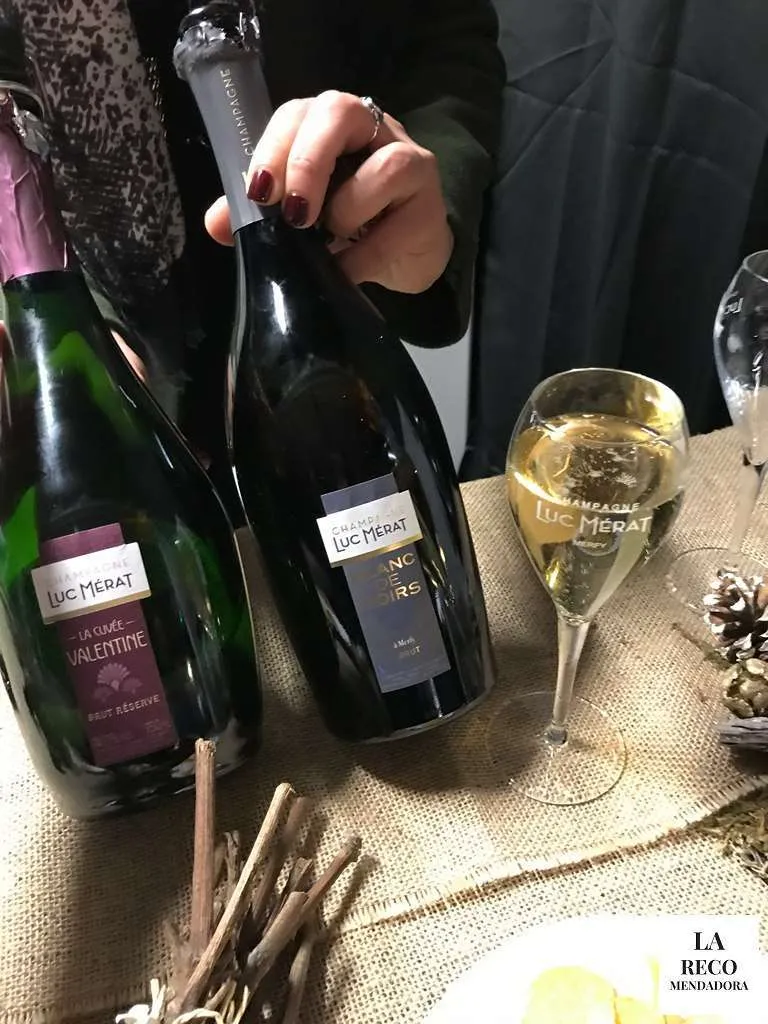 RUTA de 4 DIAS por CHAMPAGNE en FRANCIA - Ruta de 4 dias por la region de Champagne en Francia 48 Champagne Luc Mérat
